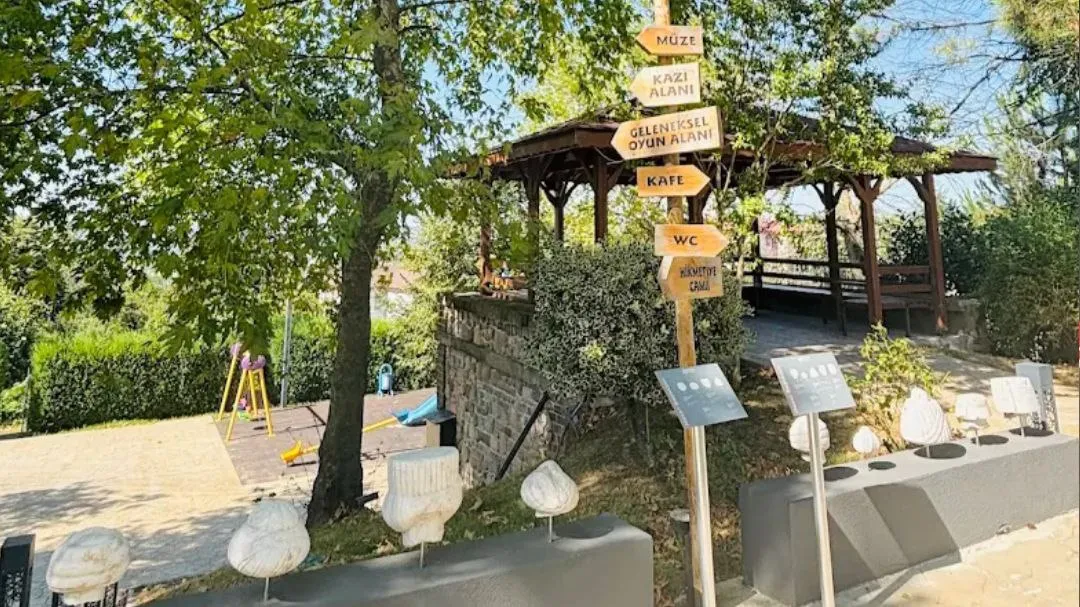 Bahçedeki taş eserler ve kamelya