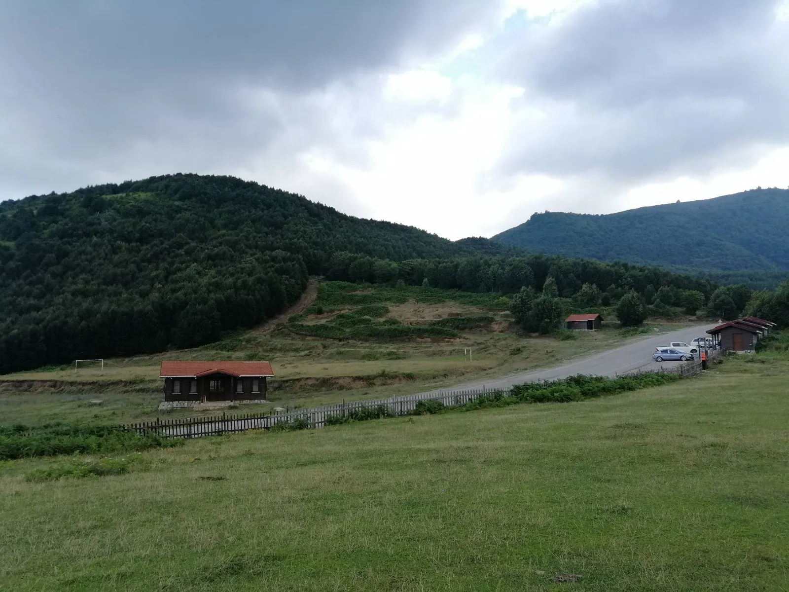 Suadiye Tabiat Parkı'nın ormanla çevrili çayırları ve yolu