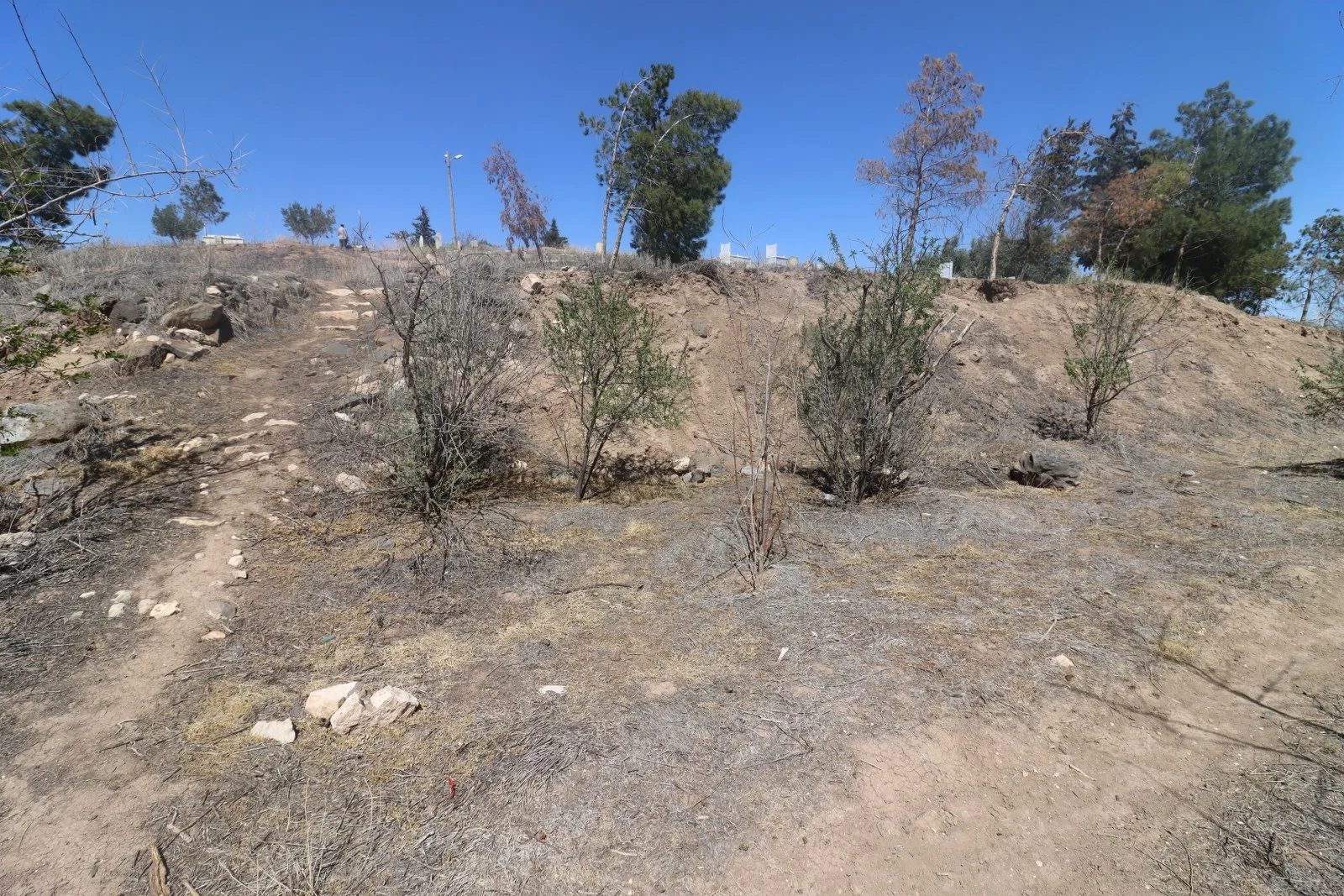 Höyüğün otlarla kaplı yamacı